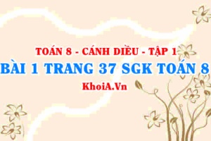 Bài 1 trang 37 SGK Toán 8 tập 1 Cánh Diều